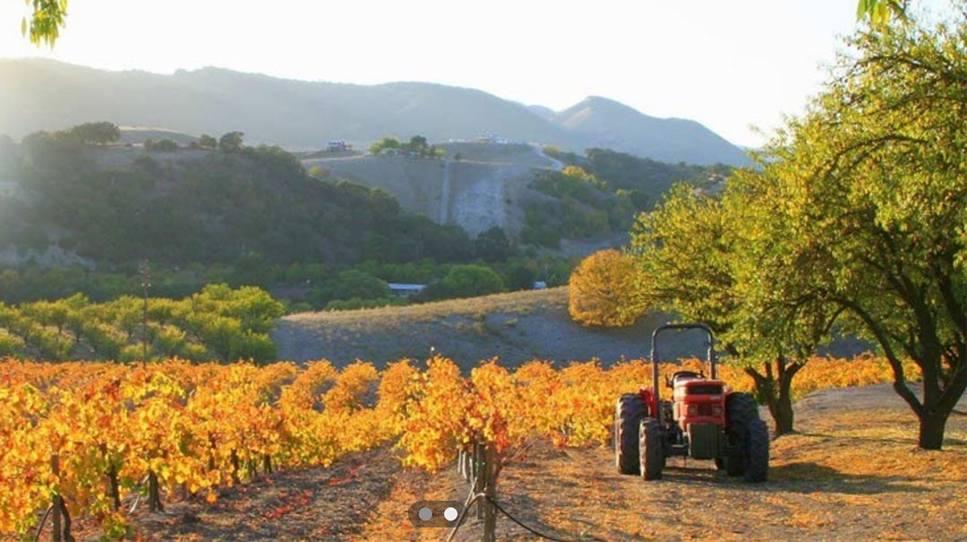 highlands-nc-dining-on-the-verandah-brochelle-vineryards-wine-dinner