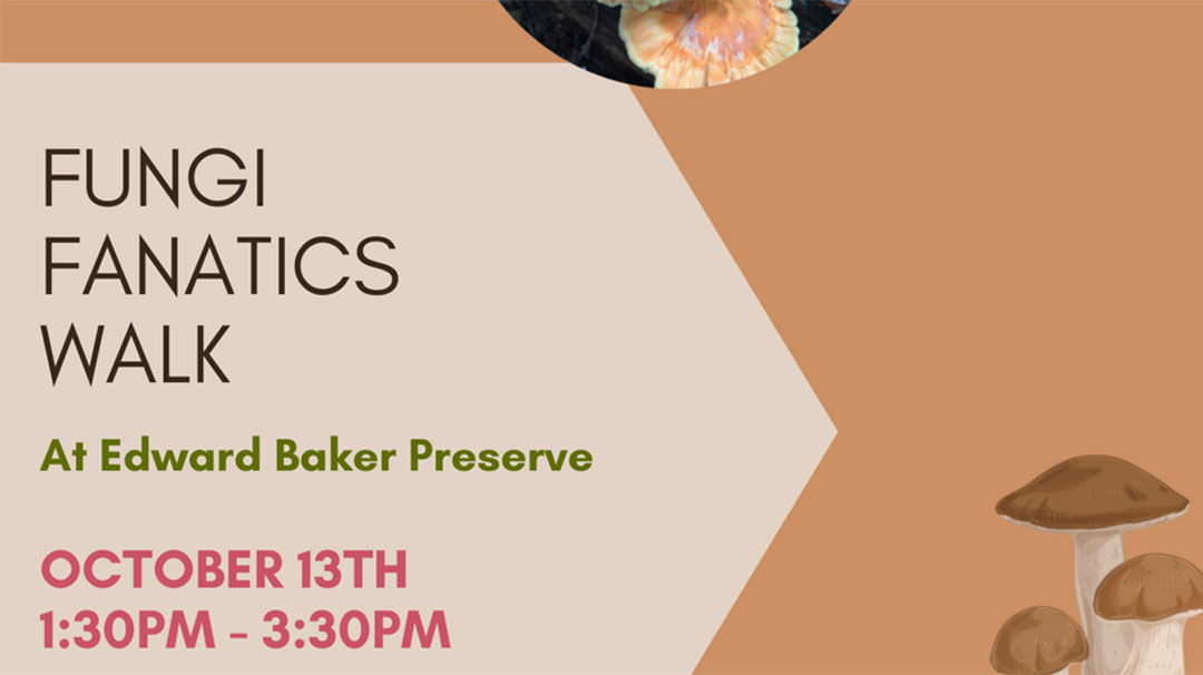 highlands-nc-highlands-cashiers-land-trust-fungi-hike