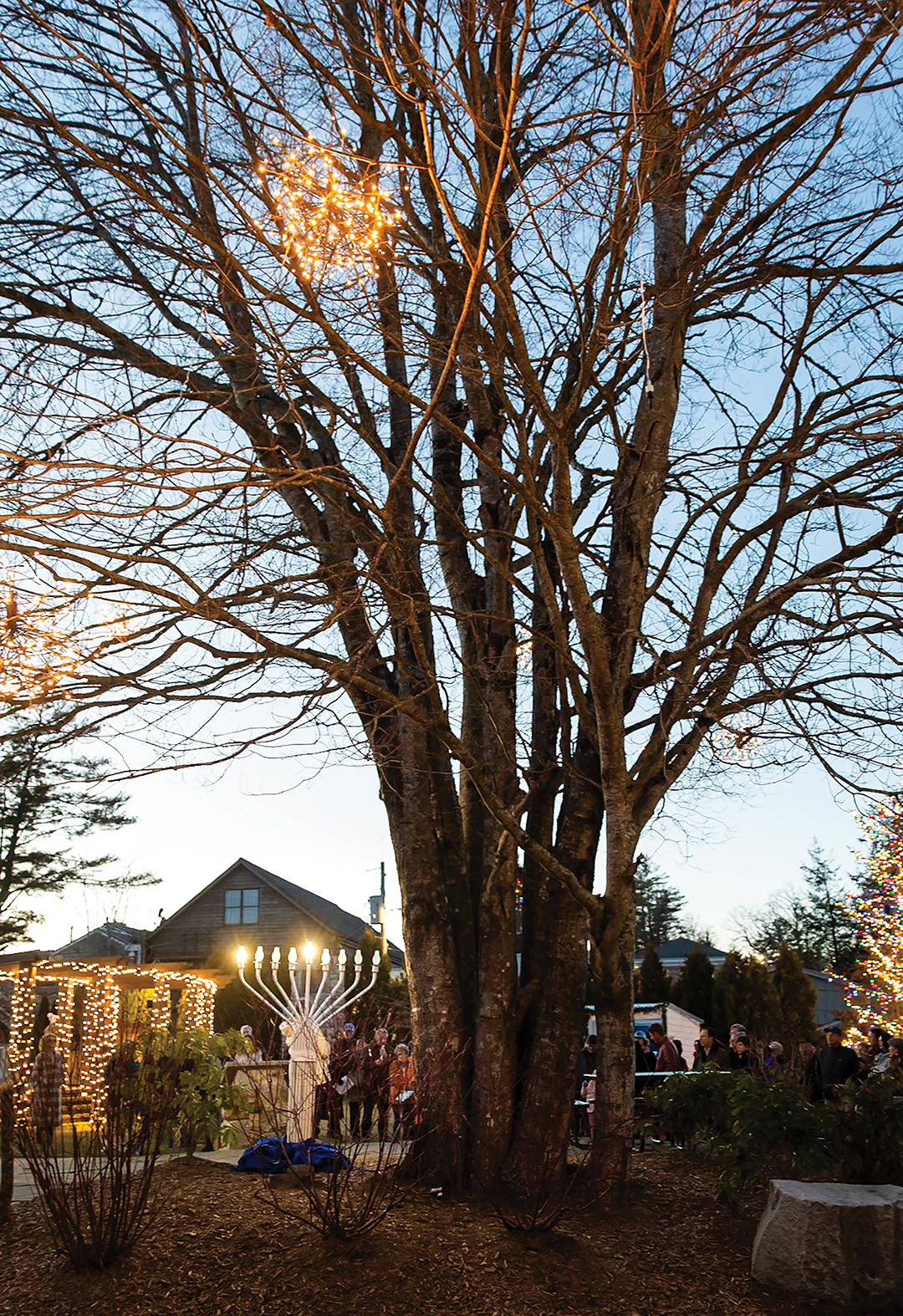 highlands-nc-lighting-menorah