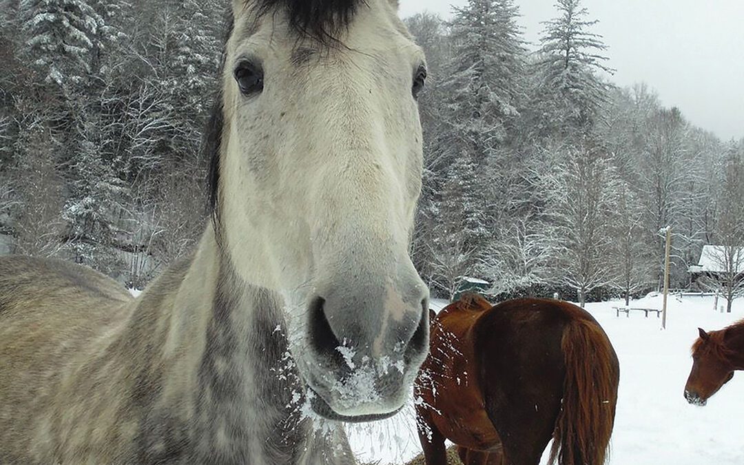 There’s Magic in the Air!