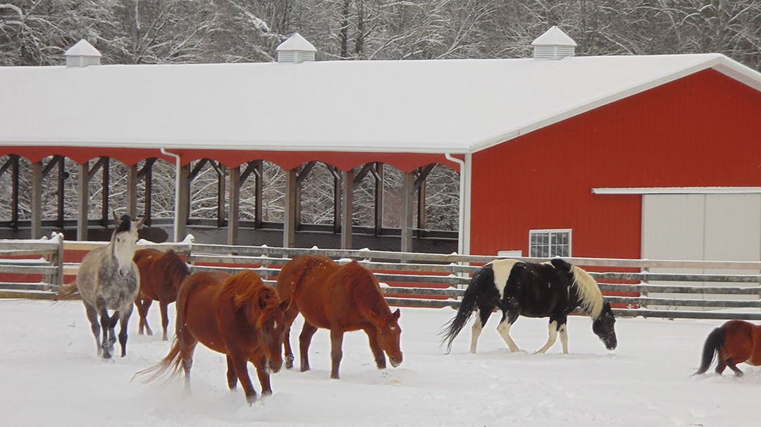 Highlands-nc-Carpe-Diem-Farms-red-barn