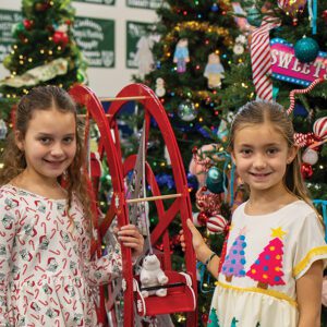 cashiers-nc-summit-charter-december