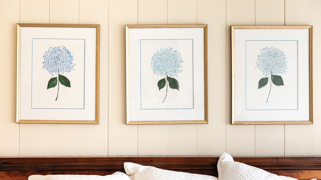 december-2025-shannon-jones-cover-floral-3