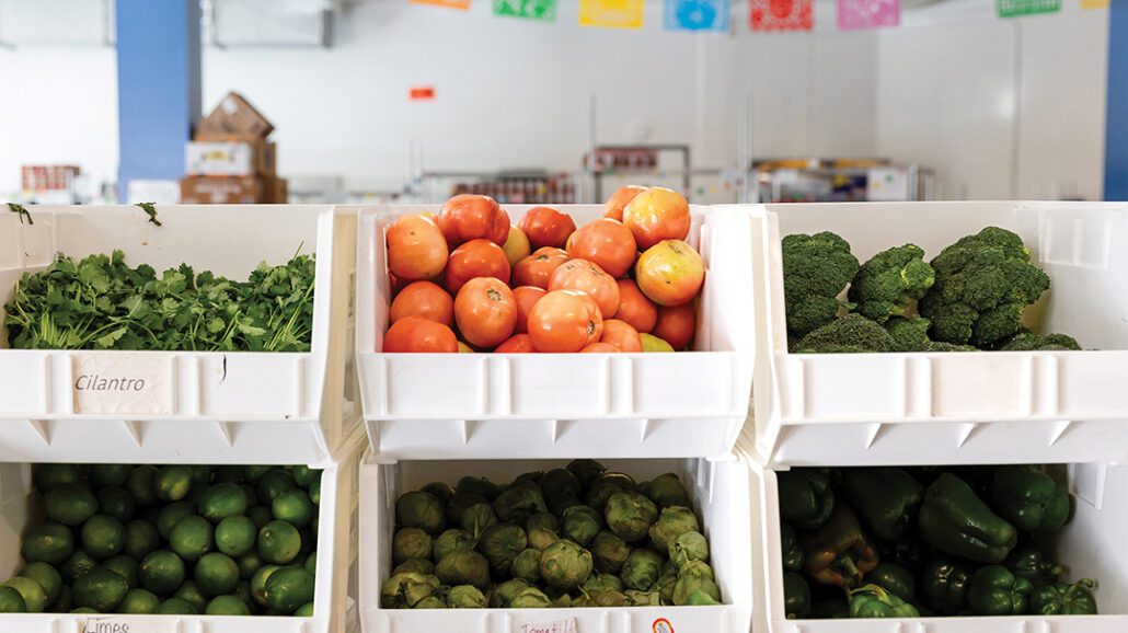 highlands-nc-food-pantry-tomatos