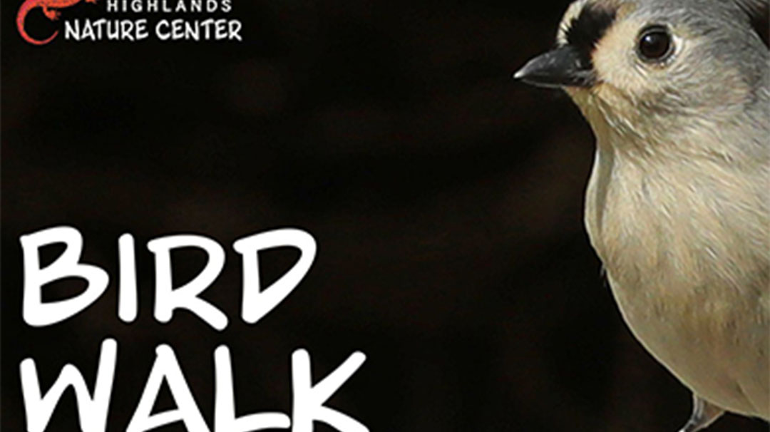 highlands-nc-highlands-nature-center-morning-bird-walk