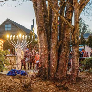 highlands-nc-lighting-Menorah