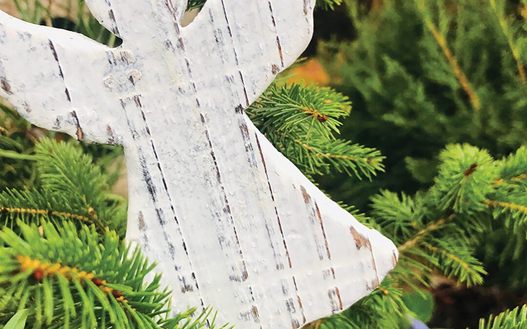 The Light of the  Angel Tree