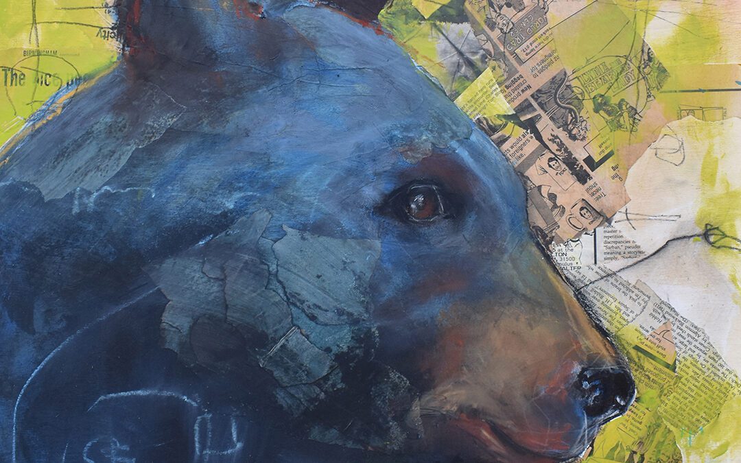 Belfi’s Unique Fauna