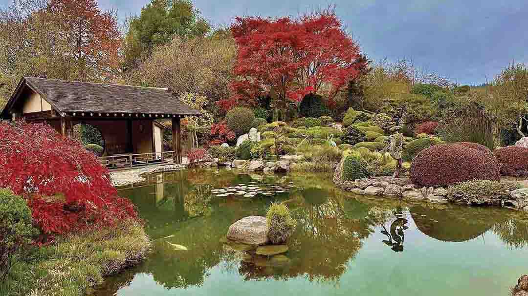 cashiers-nc-fusion-spa-retreat_Osmosis-Zen-Garden