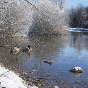 highlands-nc-harris-lake-winter-ai