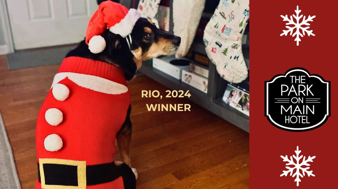 highlands-nc-park-on-main-mr-pickles-sweater-contest