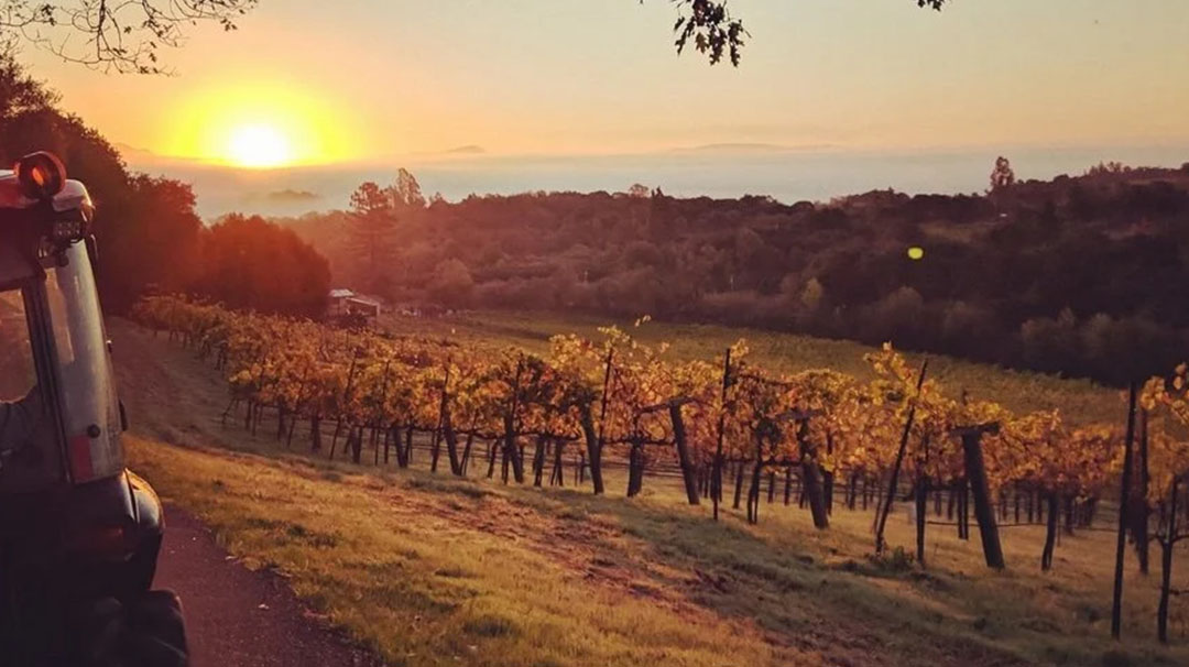 cashiers-nc-health-fusion-yoga-wellness-sonoma-retreat