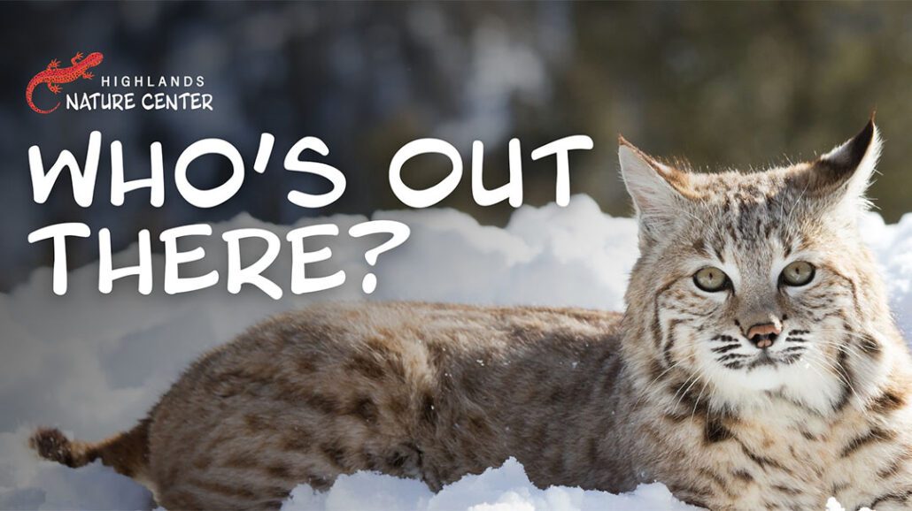 highlands-nc-nature-center-whos-out-there