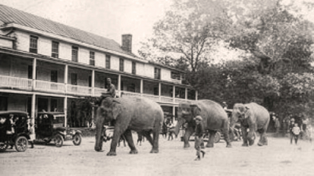 Highlands-nc-Inn-Circus