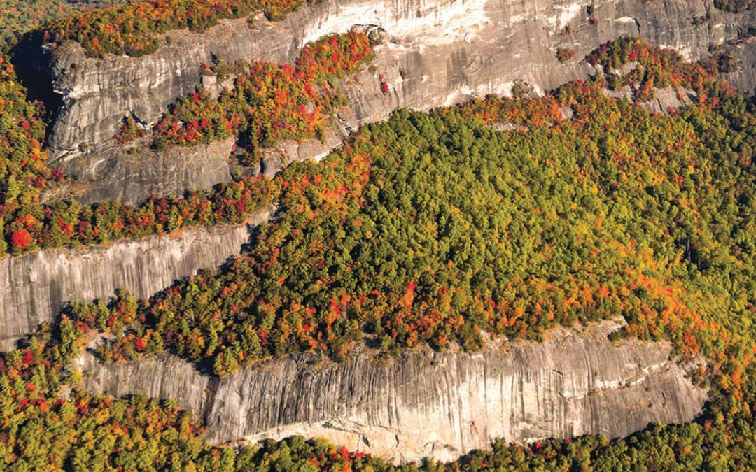 Spring Forward With the Chamber