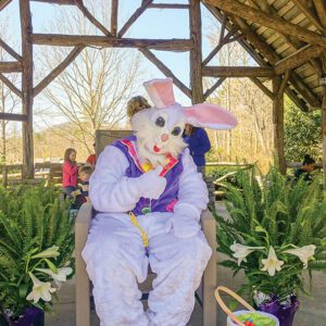cashiers-nc-easter-egg-hunt-bunny