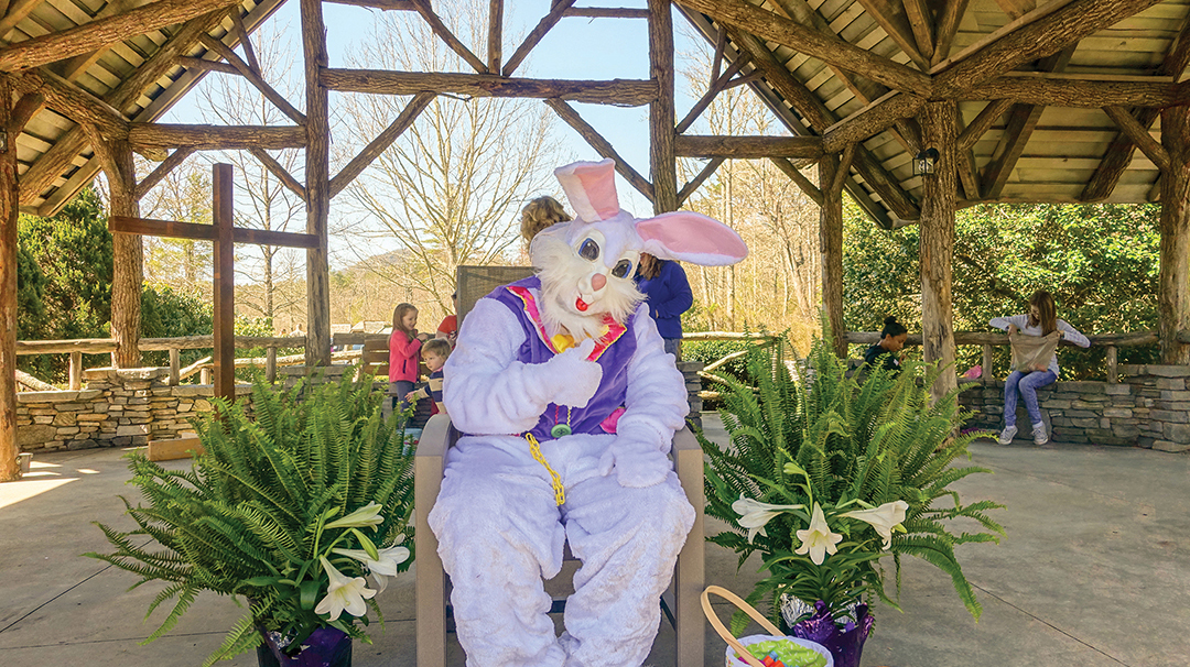 cashiers-nc-easter-egg-hunt-bunny