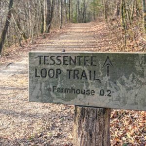 franklin-nc-Mainspring-Conservation-Trust-wood-sign