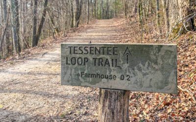 Where Conservation Meets Adventure