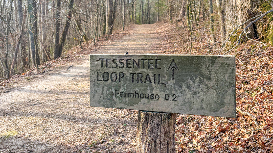 franklin-nc-Mainspring-Conservation-Trust-wood-sign