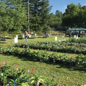 highlands-nc-plant-sale-crowd