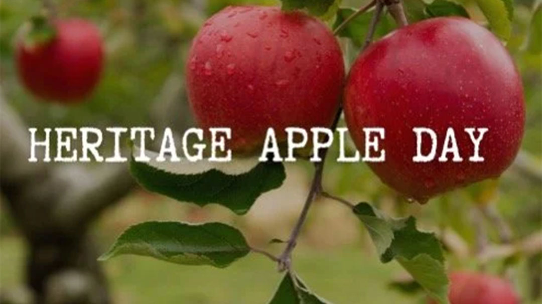 cashiers-nc-cashiers-historical-society-heritage-apple-day-festival