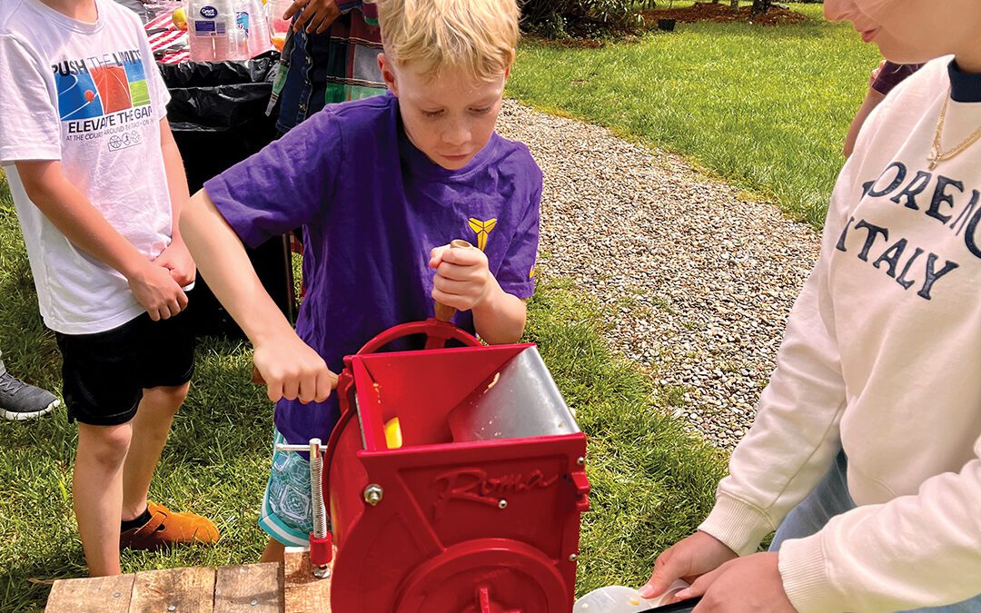 A Day in the Orchard