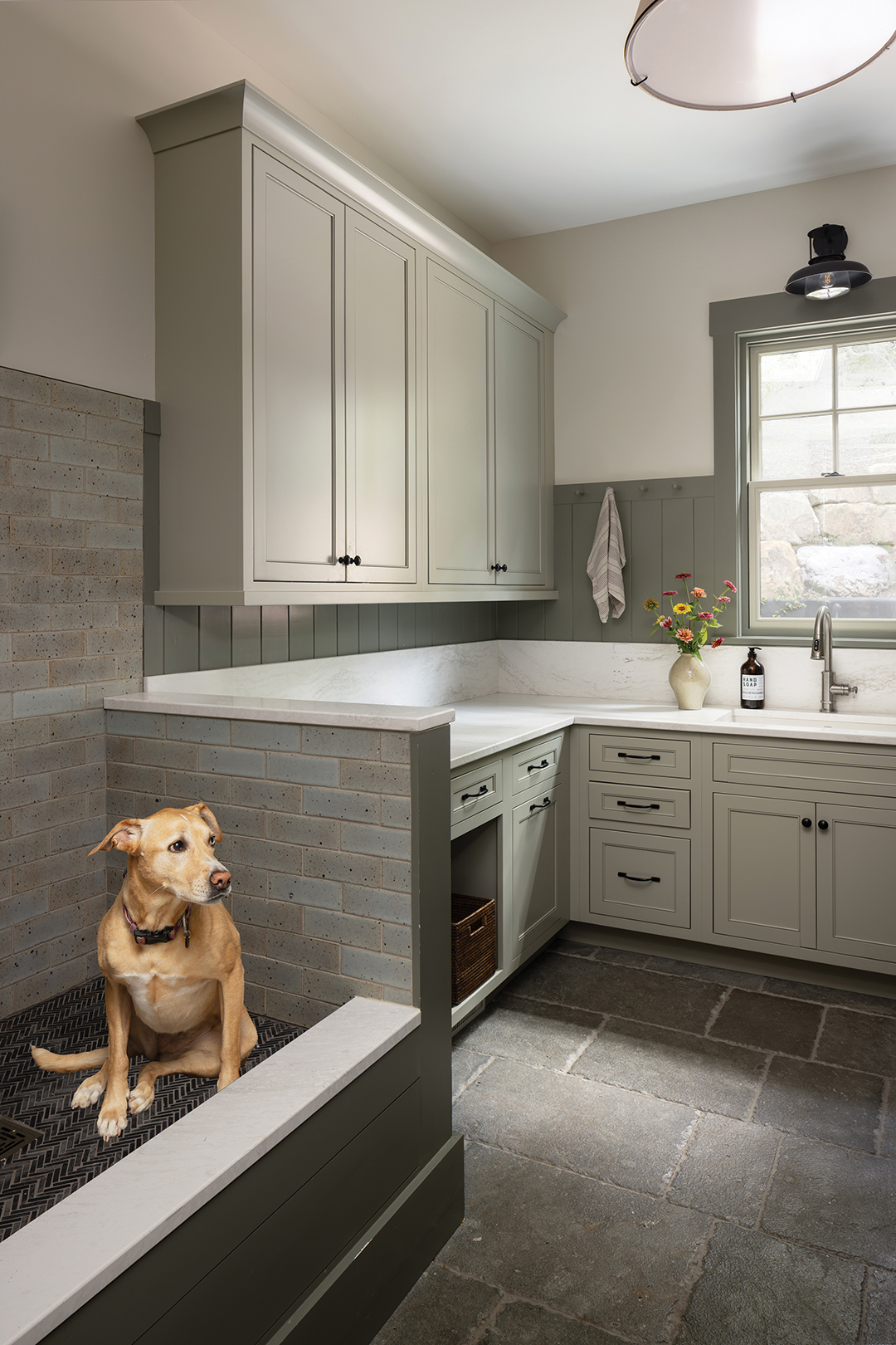 cashiers-nc-j-banks-molly-doggie