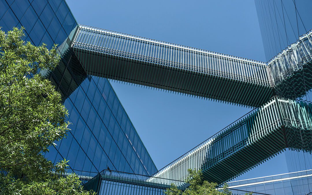 Realism to Abstraction