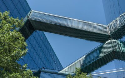 Realism to Abstraction