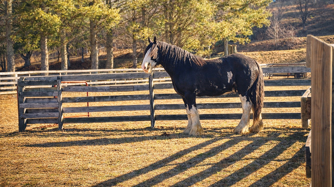 Spring at Carpe Diem