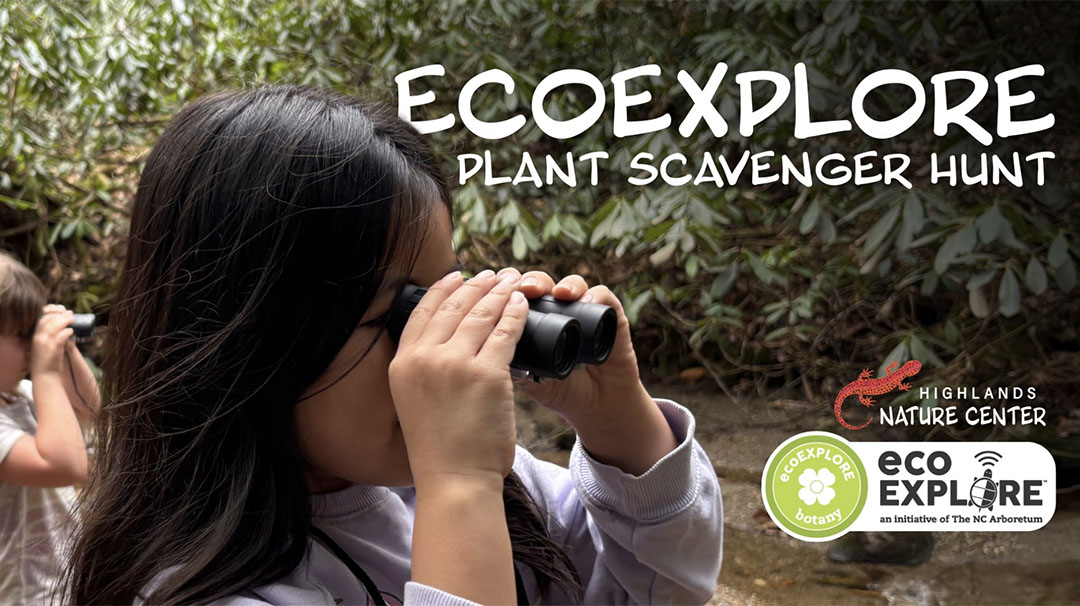highlands-nc-highlands-nature-center-ecoexplorers.jpg