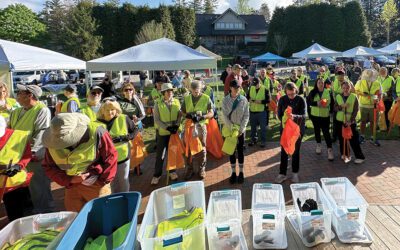 Clean & Green in Highlands