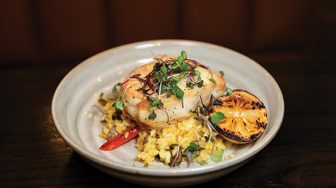 highlands-nc-primary-fish