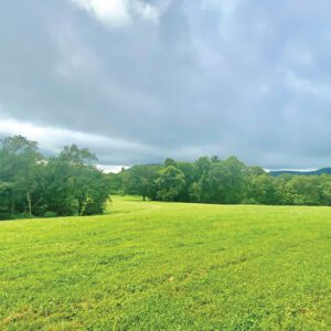 highlands-nc-stage-4-hope-ferngrove-land