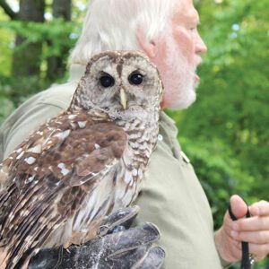 Carlton-Burke-Carolina-Mountain-barred-owl