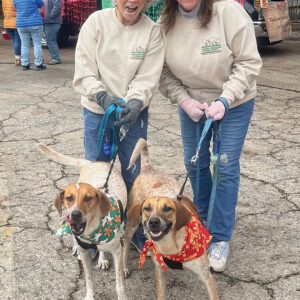 cashiers-nc-humane-society-doggies