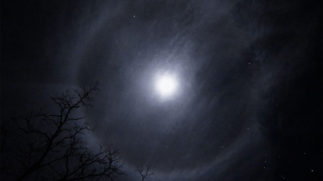 cashiers-nc-village-green-nature-series-embracing-the-dark