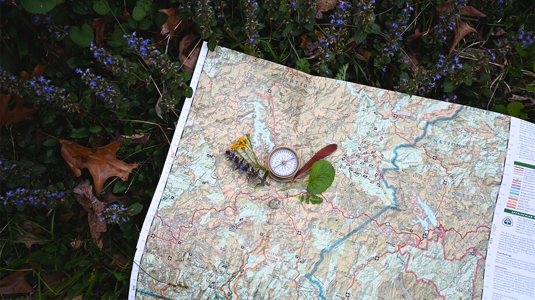 cashiers-nc-village-green-youth-nature-series-nature-treasure-hunt