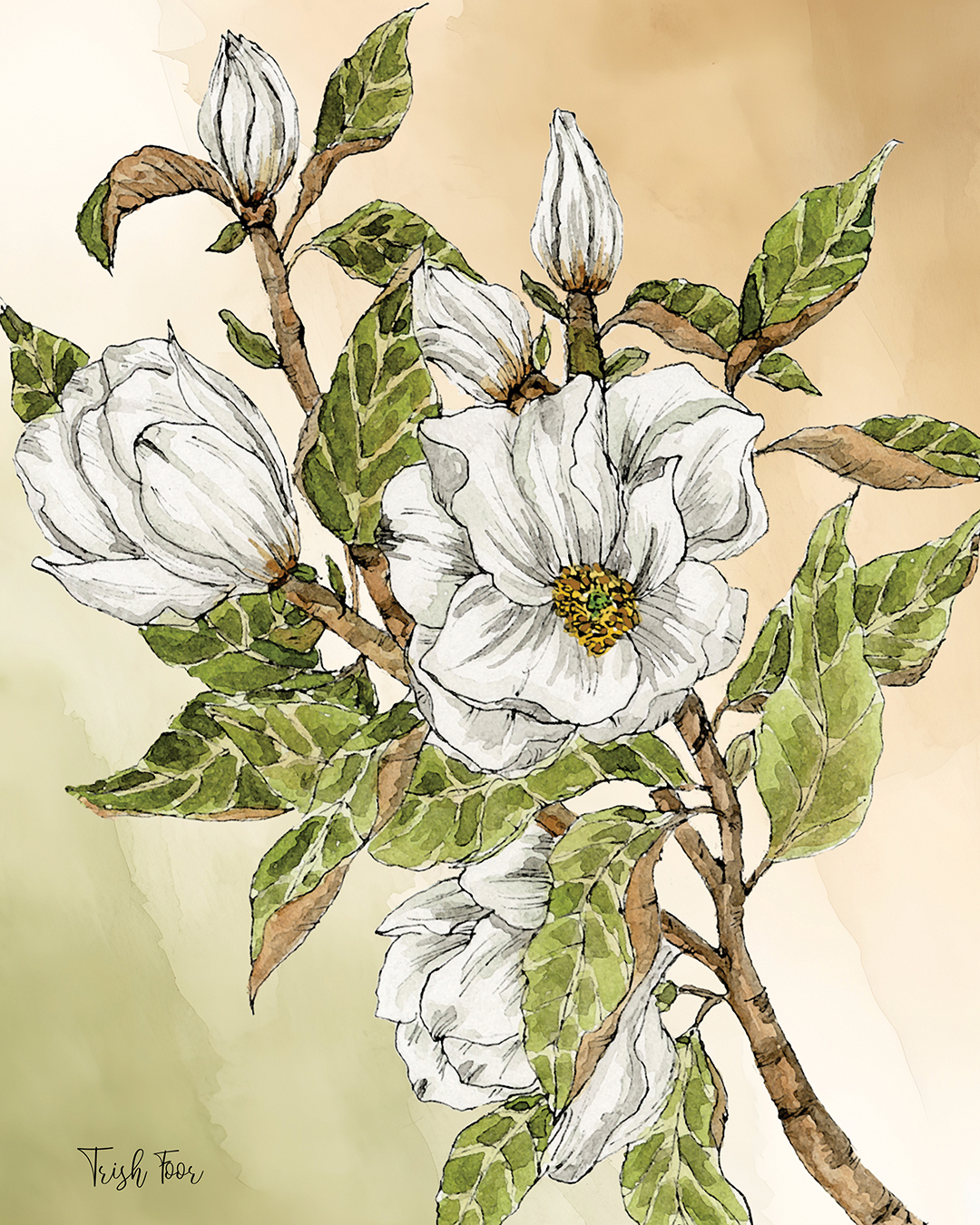 highlands-nc-artist-trish-foor-white-flower