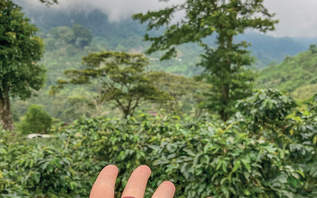 From Corps to Coffee