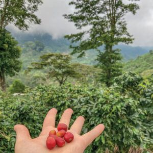 alex-osteen-highlands-coffee-BEANS