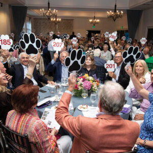 cashiers-highlands-humane-society-paws-casuse