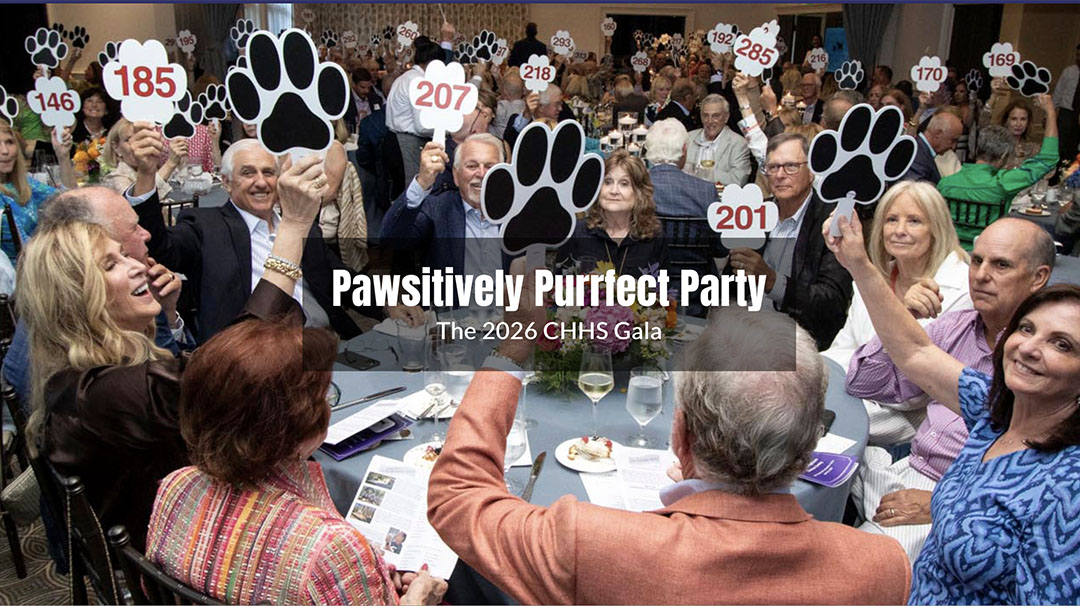 cashiers-nc-highlands-humane-society-pawsitively-purrfect-party-gala.jpg