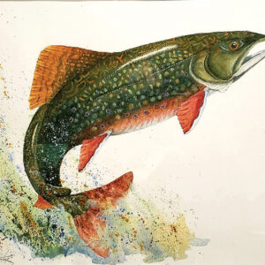 highlands-nc-artist-Rebecca-Horowitz-trout
