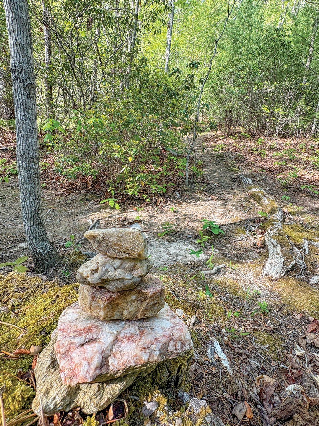 highlands-nc-blue-ridge-hikers-trail