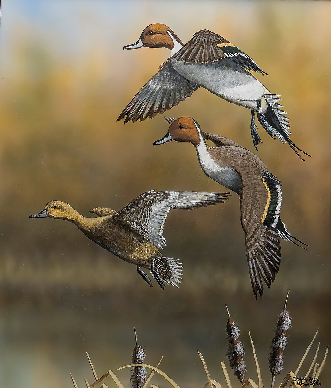 highlands-nc-summer-house-Broderick-crawford-Graceful-Descent