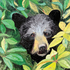 Highlands-cashiers-summer-colors-art-show-craig-ragsdale.jpg