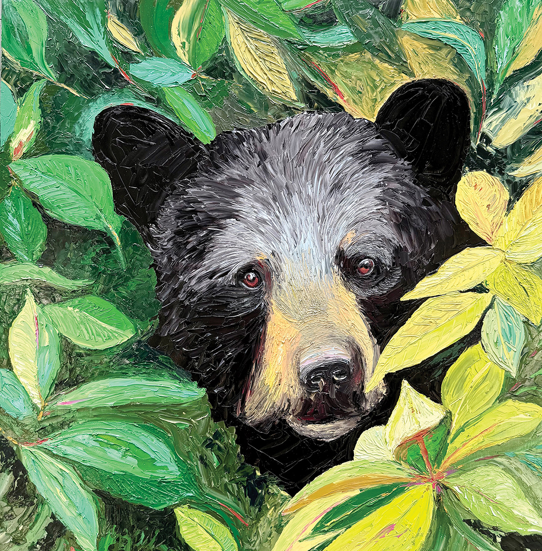 Highlands-cashiers-summer-colors-art-show-craig-ragsdale.jpg