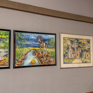 cashiers-nc-albert-carlton-library-duncan-greenlee